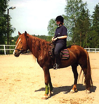 EtuLuonto1999