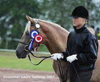 tuuli elimaki